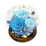 FIACO Gifts for Mom Women Birthday Preserved Flowers in Glass Dome Forever Fresh Flowers for Delivery Prime Long-Lasting Eternal Roses Gifts for Grandma Sister Daughter Wife Her Girlfriend Purple