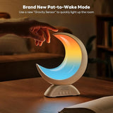 Moonlight Harmony Lamp