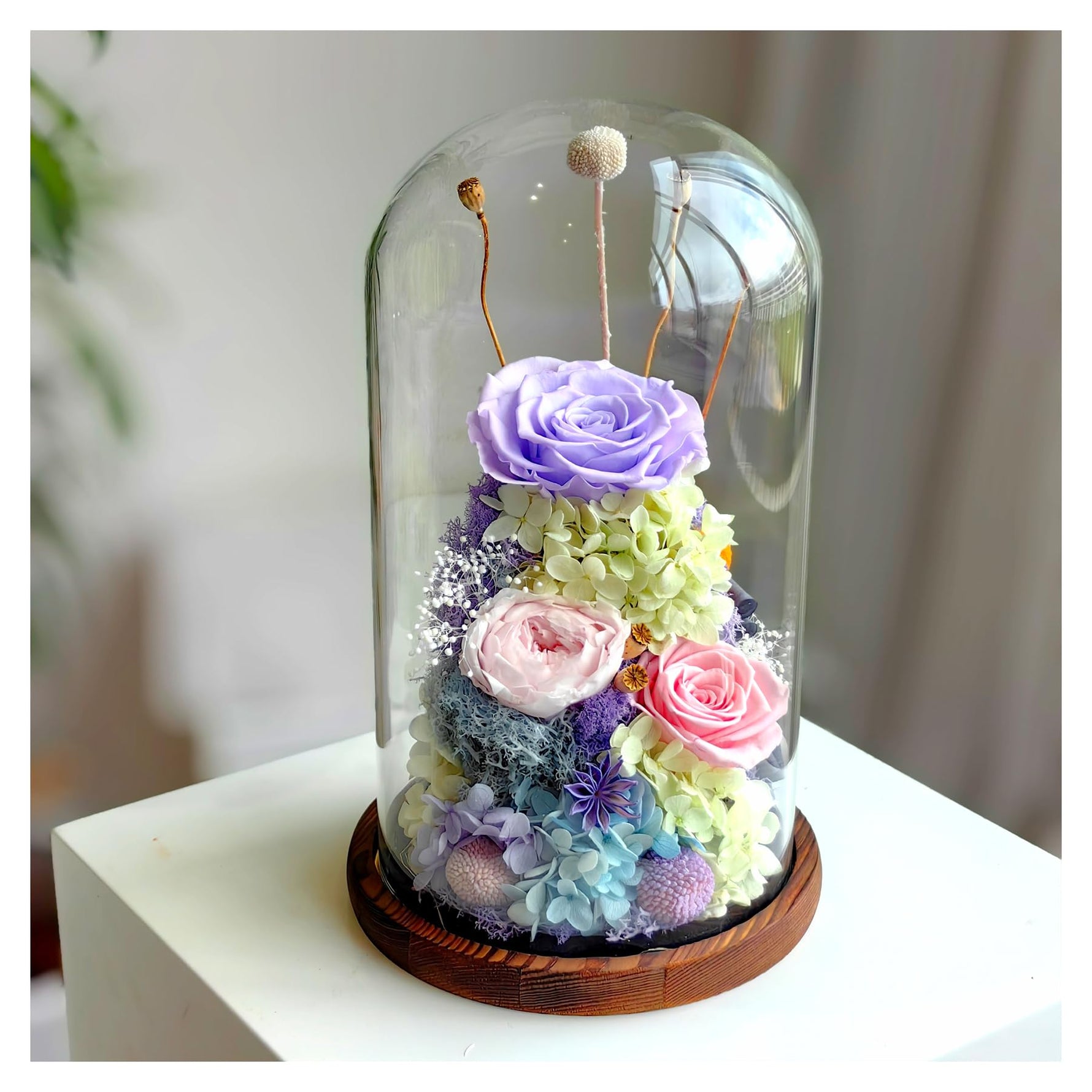 Flowers for Delivery - Forever Flowers Rose in Glass Dome with LED Lights, Large Size Preserved Roses Gifts for Women, Mom, Wife, Friend -Birthday, Anniversary, Valentine's Day Gift (Red Rose)