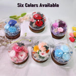 Eternal Rose Glass Dome Gift