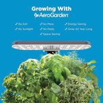 Indoor Hydroponic Garden