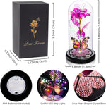 Galaxy Rose Glass Dome Gift