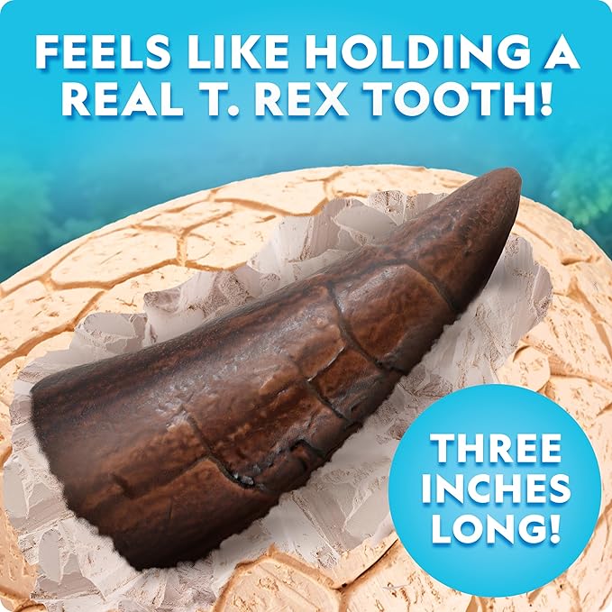 Jumbo Dinosaur Dig Kit