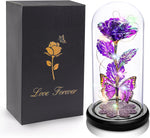 Galaxy Rose Glass Dome Gift