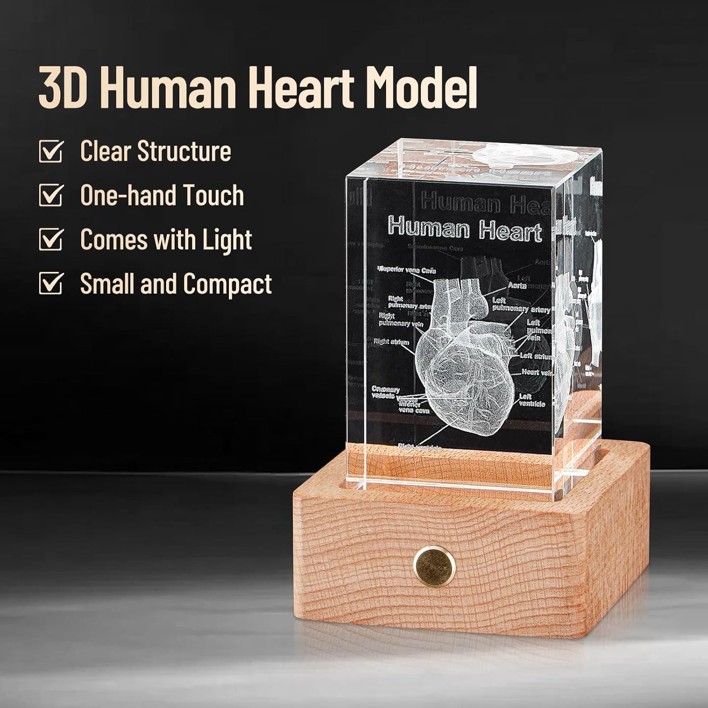 3D Crystal Human Heart Model