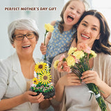 BlossomGlow Botanical Collection