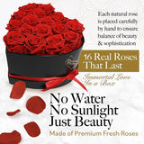 GLAMOUR BOUTIQUE 16 Flower Forever Heart Shape Box, Eternal Preserved Roses Gift for Her, Lasting Flowers, Romantic Floral Keepsake for Birthday, Anniversary or Valentine’s Day, Red (Color-Treated)