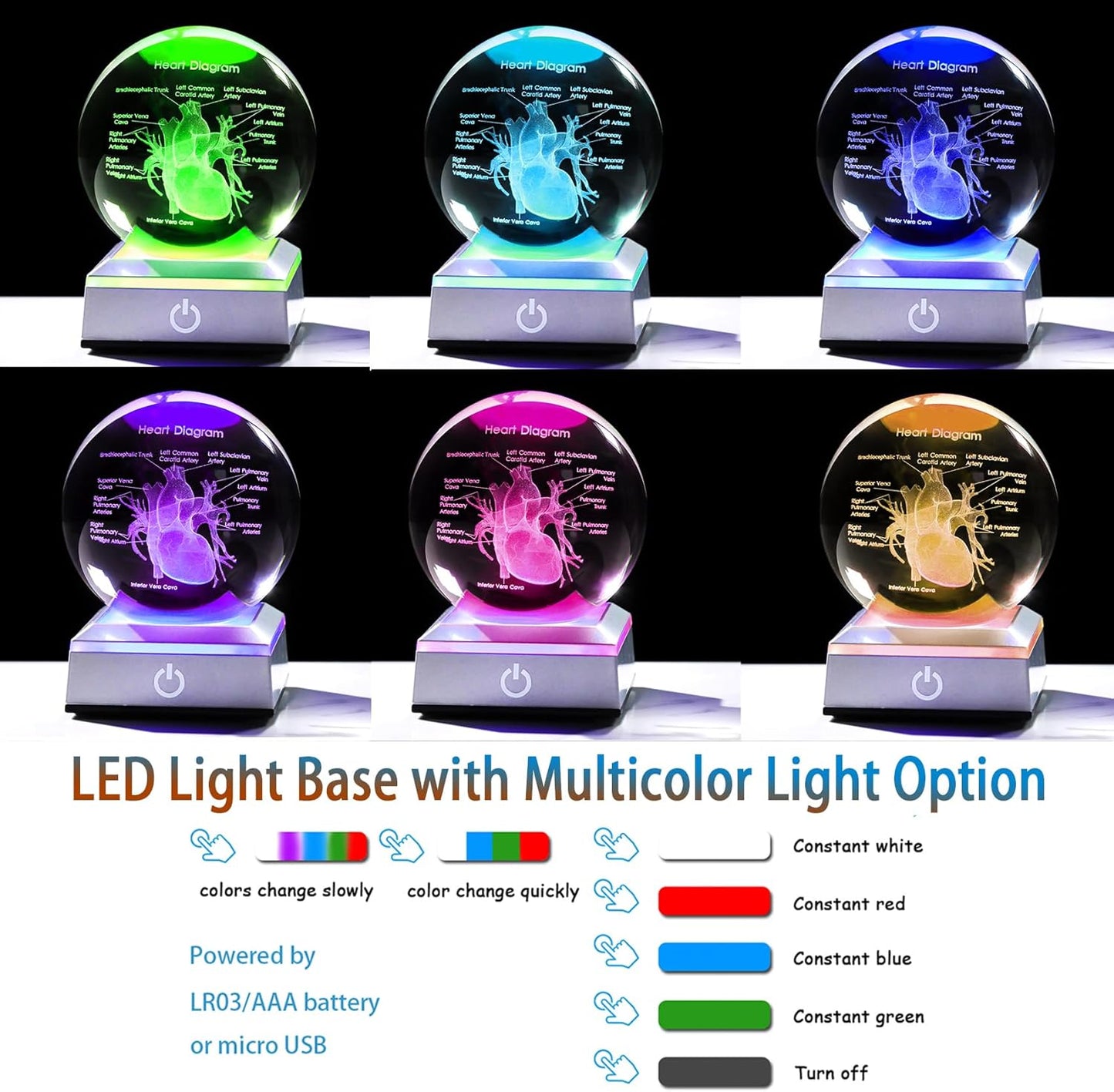 3D Crystal Human Heart Model