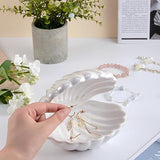 Ceramic Shell Jewelry Dish
