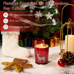 Christmas Gift baskets for Women, Christmas Gift Sets for Mom, Her, Wife, Girlfriend, Care Package for Women, Birthday Unique Gifts, Holiday Gifts Basket with Canvas Tote Bag Sock Tumbler Flower
