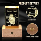 3D Crystal Human Heart Model