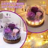 FIACO Gifts for Mom Women Birthday Preserved Flowers in Glass Dome Forever Fresh Flowers for Delivery Prime Long-Lasting Eternal Roses Gifts for Grandma Sister Daughter Wife Her Girlfriend Purple