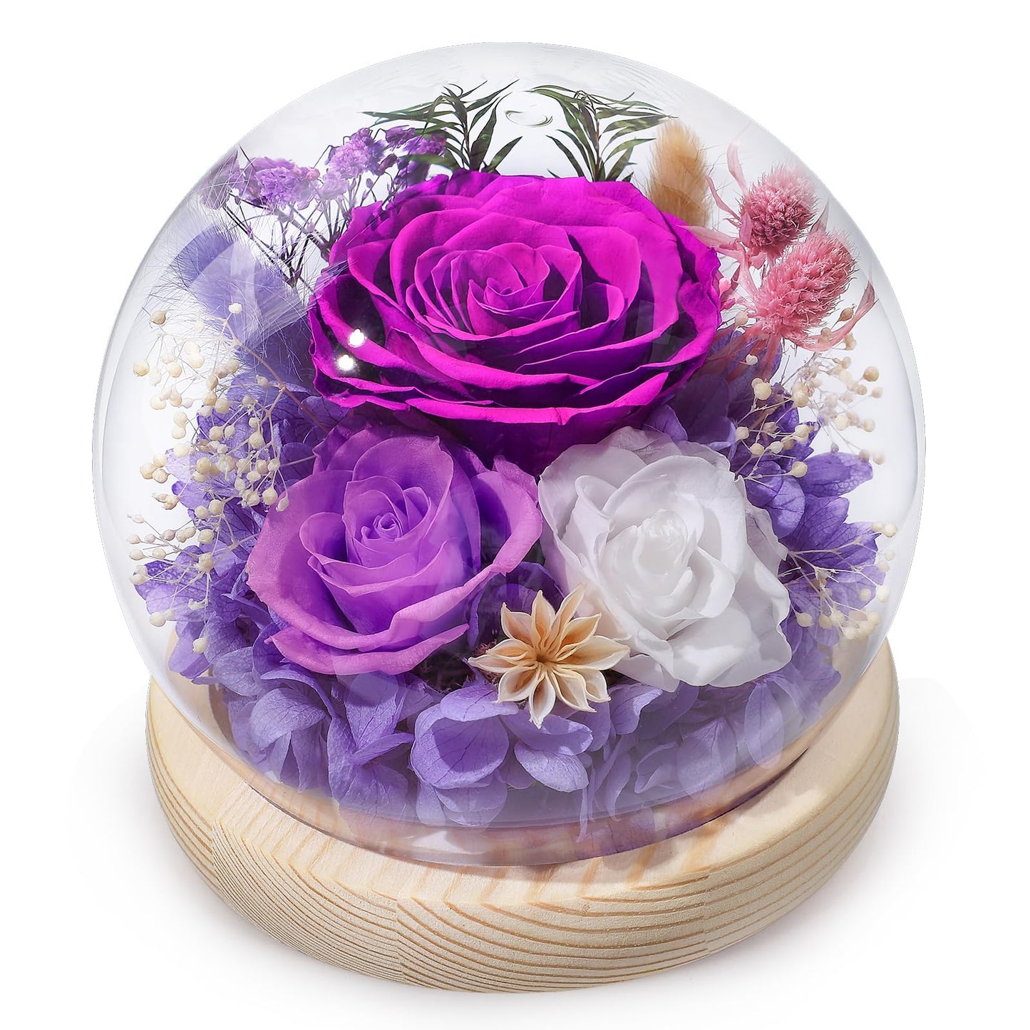 FIACO Gifts for Mom Women Birthday Preserved Flowers in Glass Dome Forever Fresh Flowers for Delivery Prime Long-Lasting Eternal Roses Gifts for Grandma Sister Daughter Wife Her Girlfriend Purple