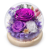 FIACO Gifts for Mom Women Birthday Preserved Flowers in Glass Dome Forever Fresh Flowers for Delivery Prime Long-Lasting Eternal Roses Gifts for Grandma Sister Daughter Wife Her Girlfriend Purple