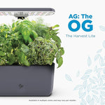Indoor Hydroponic Garden