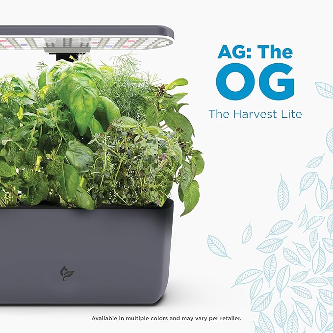 Indoor Hydroponic Garden
