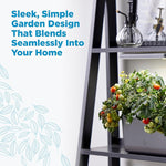 Indoor Hydroponic Garden