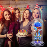 Galaxy Rose Glass Dome Gift