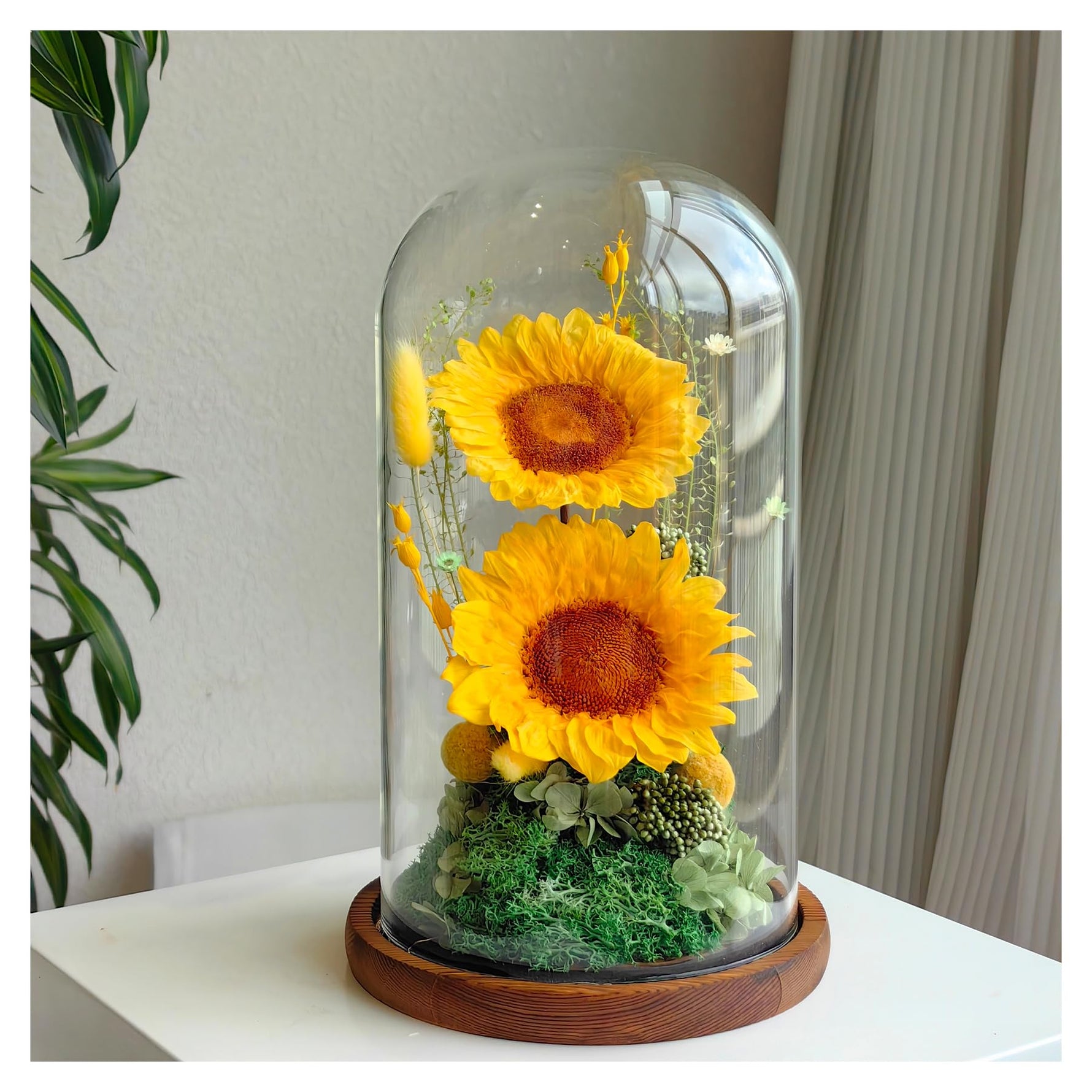 Flowers for Delivery - Forever Flowers Rose in Glass Dome with LED Lights, Large Size Preserved Roses Gifts for Women, Mom, Wife, Friend -Birthday, Anniversary, Valentine's Day Gift (Red Rose)