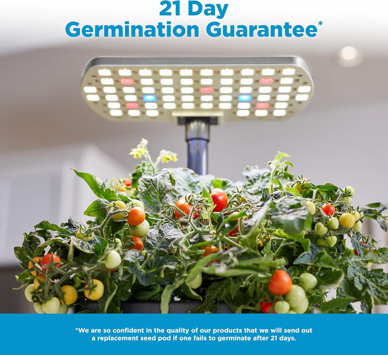 Indoor Hydroponic Garden
