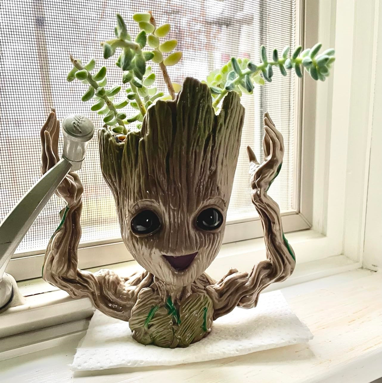 Groot Planter Collection