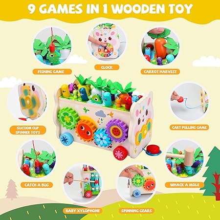 Montessori Wooden Activity Toy
