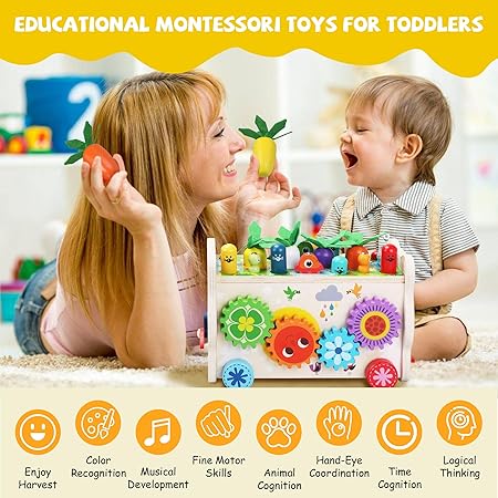 Montessori Wooden Activity Toy