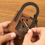 Einstein Lock Puzzle Game