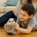 EcoCable™ Wooden Science Kit