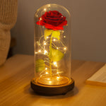 Forever Rose Glow Dome