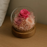 Eternal Rose Glass Dome Gift