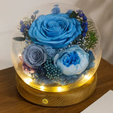 Eternal Rose Glass Dome Gift