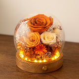 Eternal Rose Glass Dome Gift