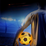 FlashCatch Light Up Soccer Ball