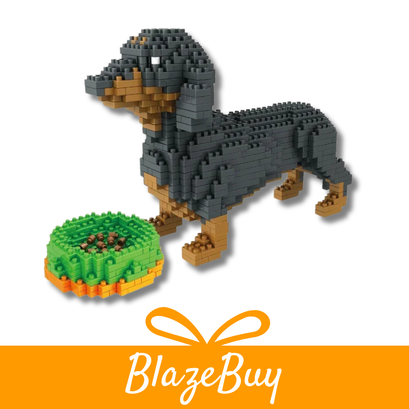 KNEW BUILT™ Yorkshire Terrier