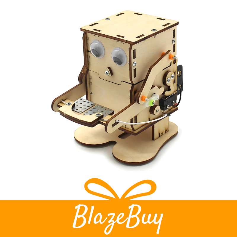 CoinBot™ DIY Puzzle