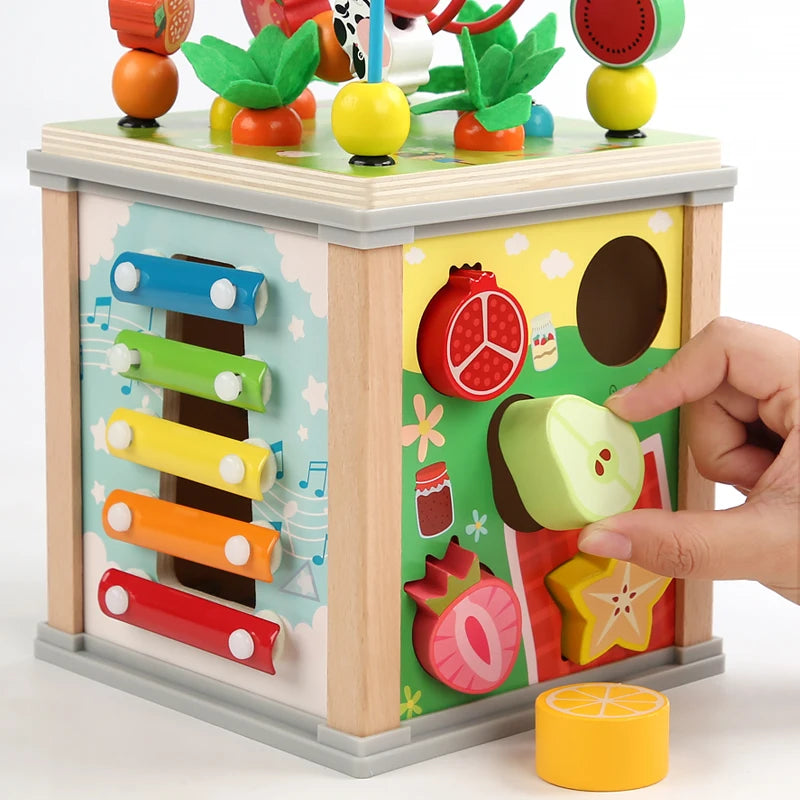 Montessori Wooden Activity Cube