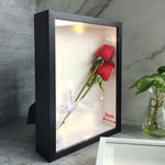 FloralBox™ Display Frame