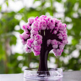 CrystalBloom™ Sakura