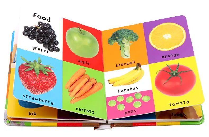 First 100 Words Book