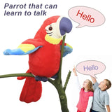 Talking Parrot Plush