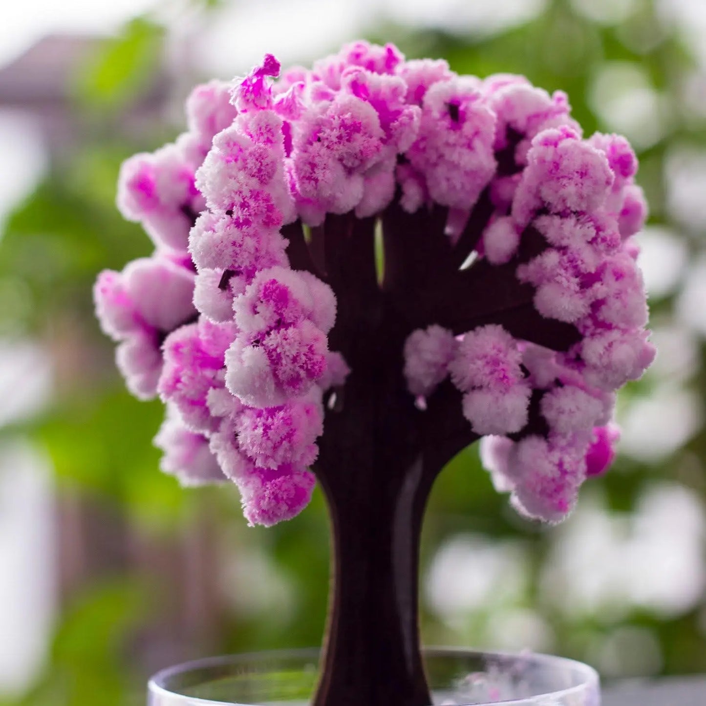 CrystalBloom™ Sakura