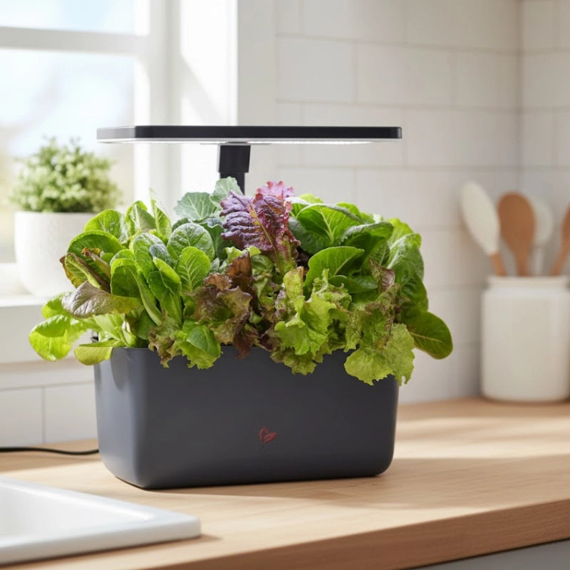 Indoor Hydroponic Garden