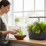 Indoor Hydroponic Garden