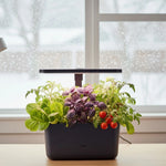 Indoor Hydroponic Garden