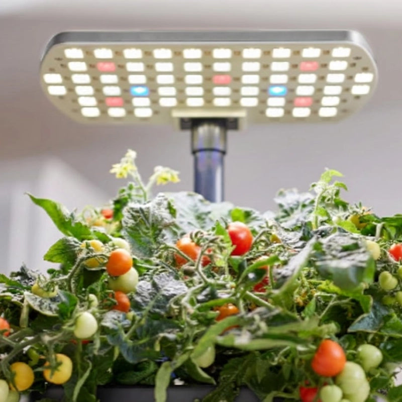Indoor Hydroponic Garden