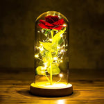 Forever Rose Glow Dome