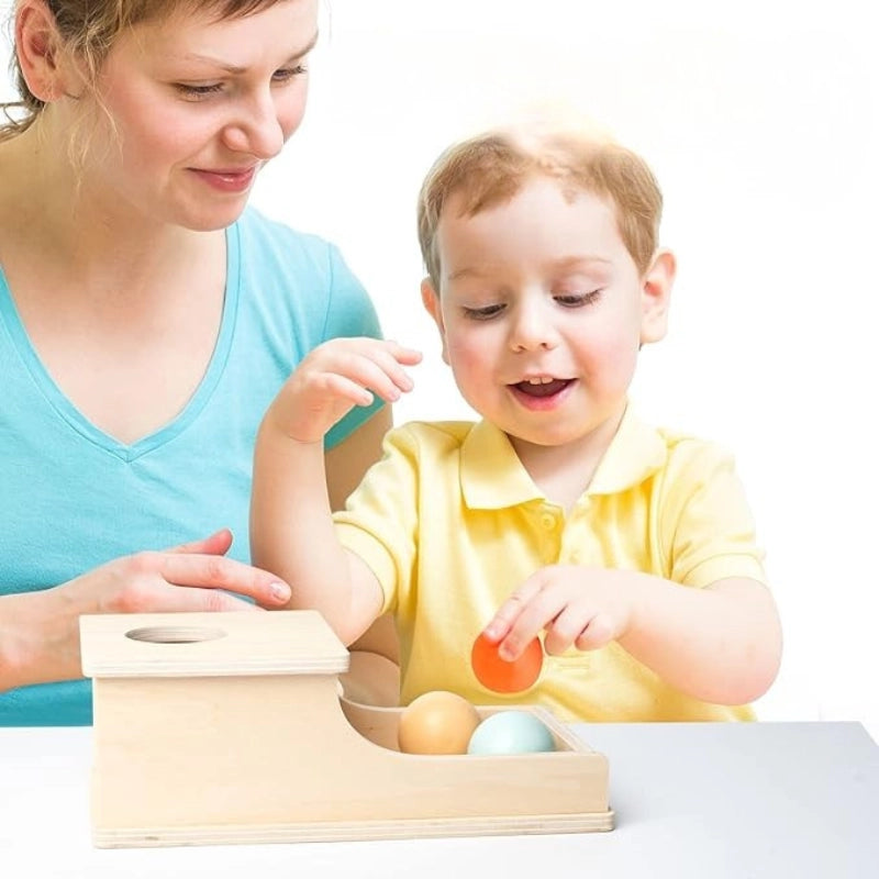 Montessori Discovery Playset Collection