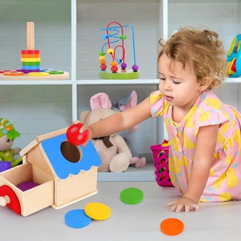 Montessori Discovery Playset Collection
