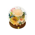 Eternal Rose Glass Dome Gift